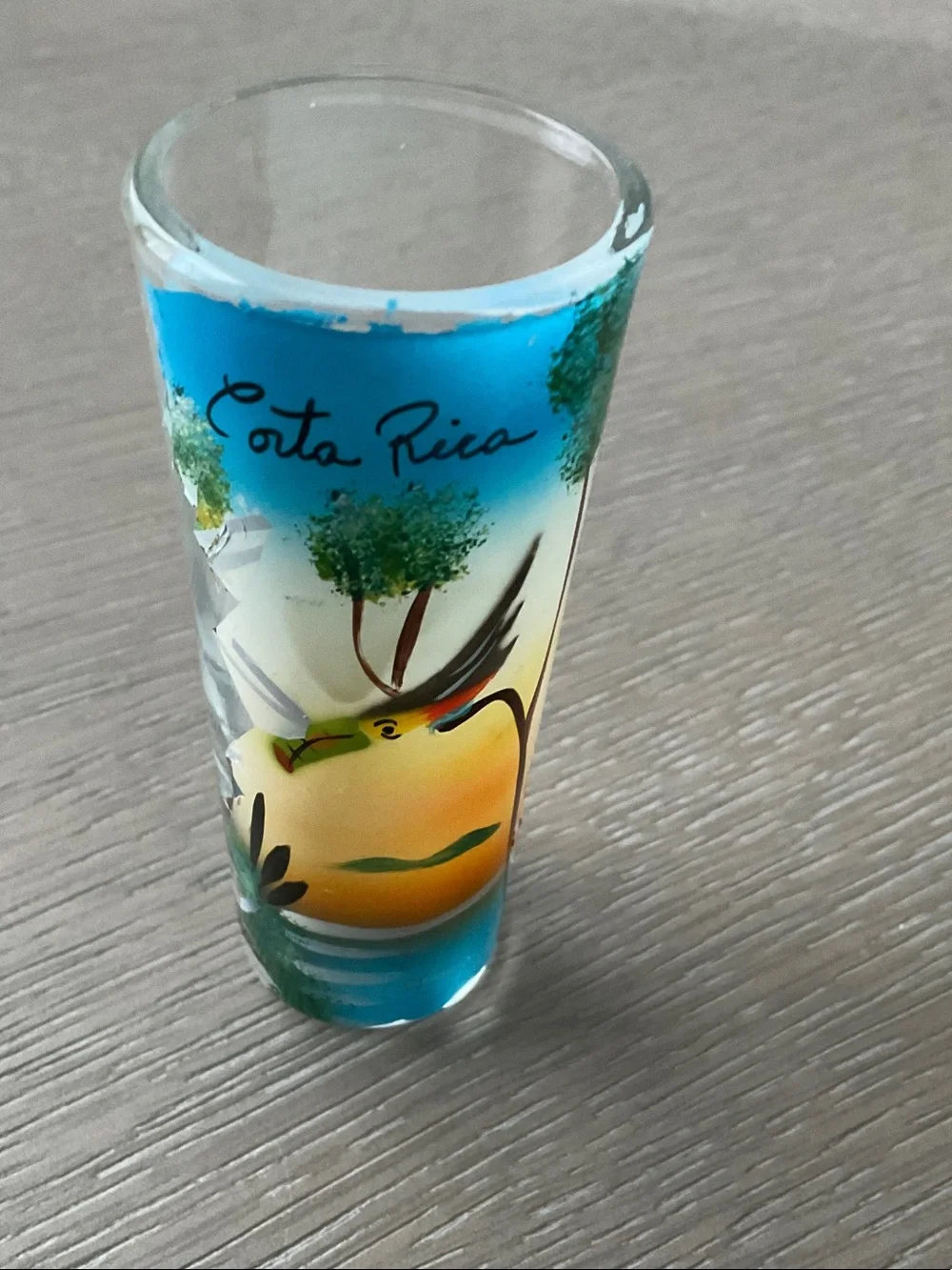 Costa Rica shot drink Painted Tropical Bird souvenir- Blue/Yellow